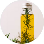 Aceite de Árbol de Té