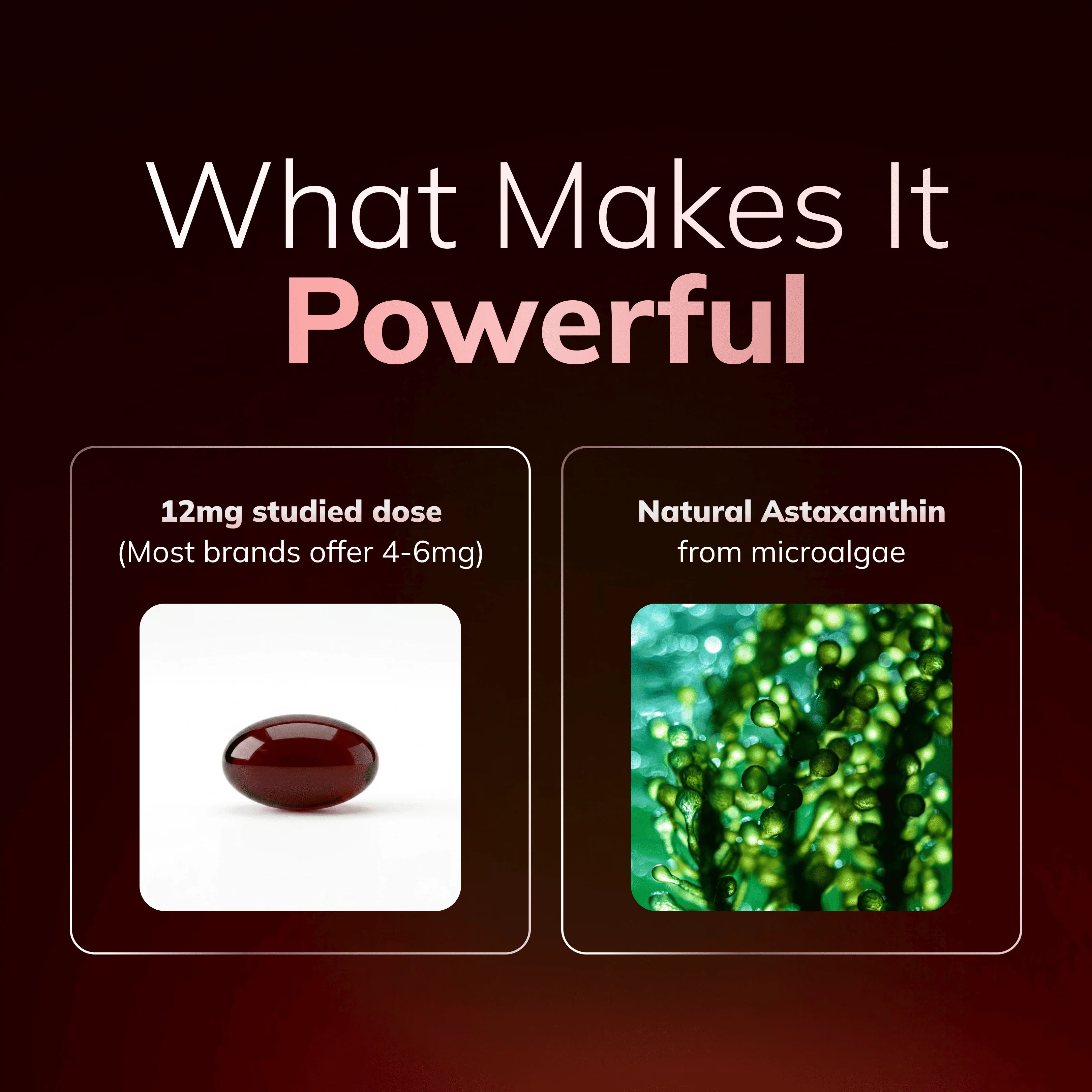 One Pure Ingredient